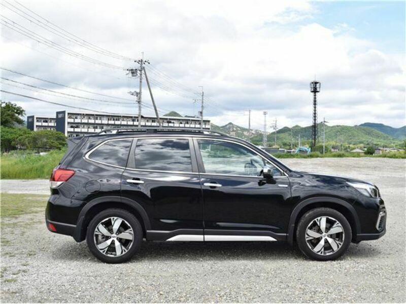 FORESTER