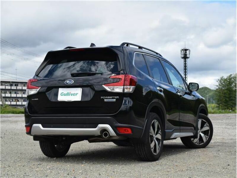 FORESTER