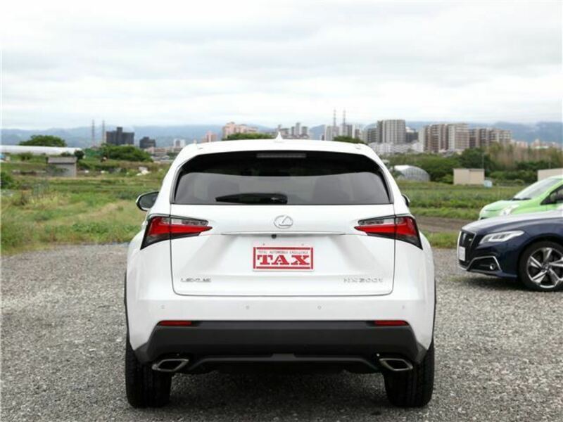 NX