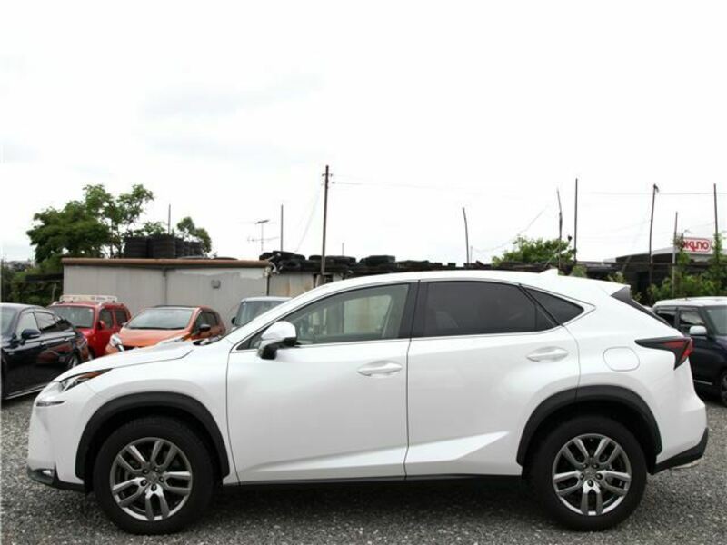 NX