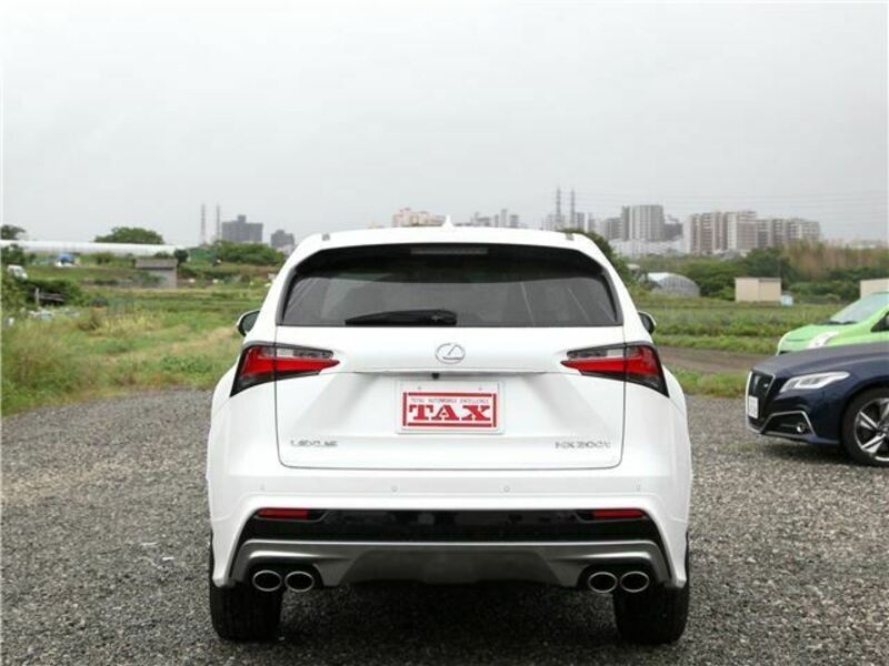 NX