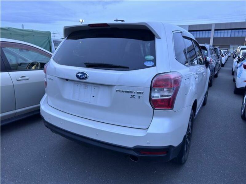 FORESTER-1