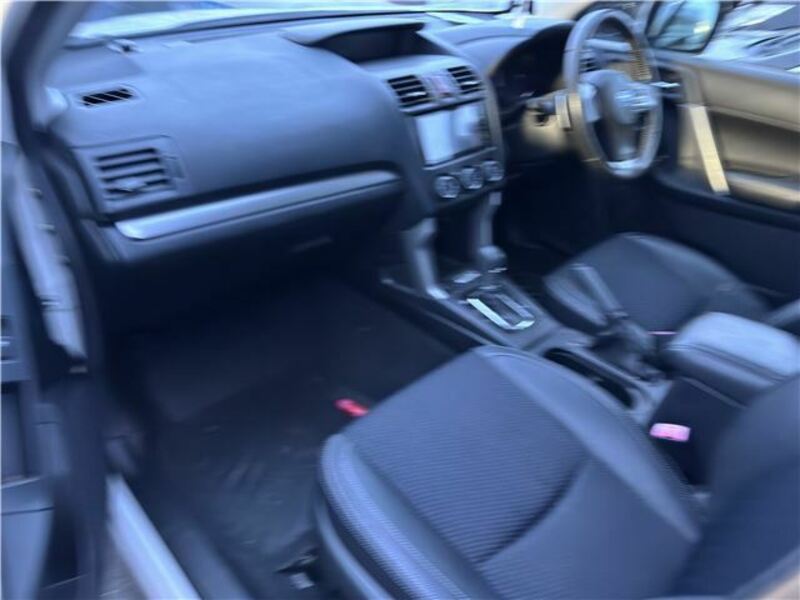 FORESTER-2