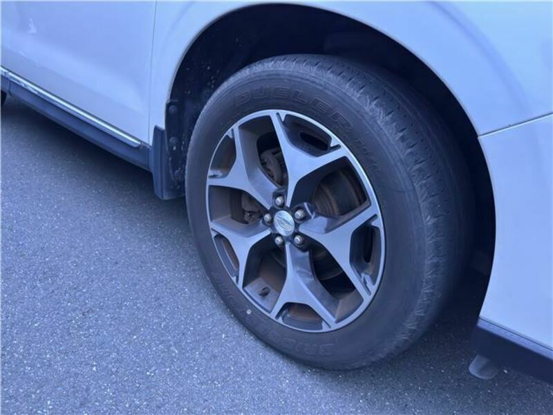 FORESTER-6