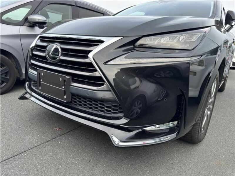 NX