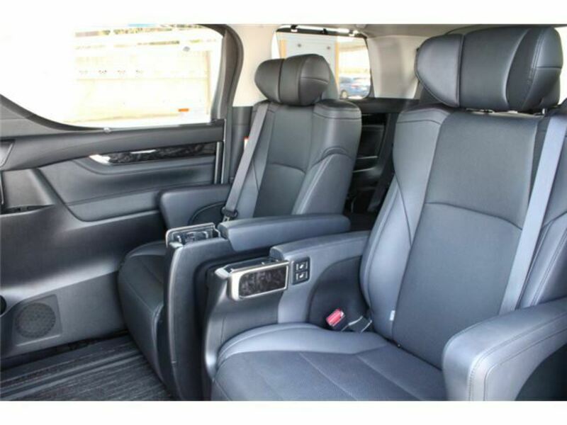 ALPHARD-13