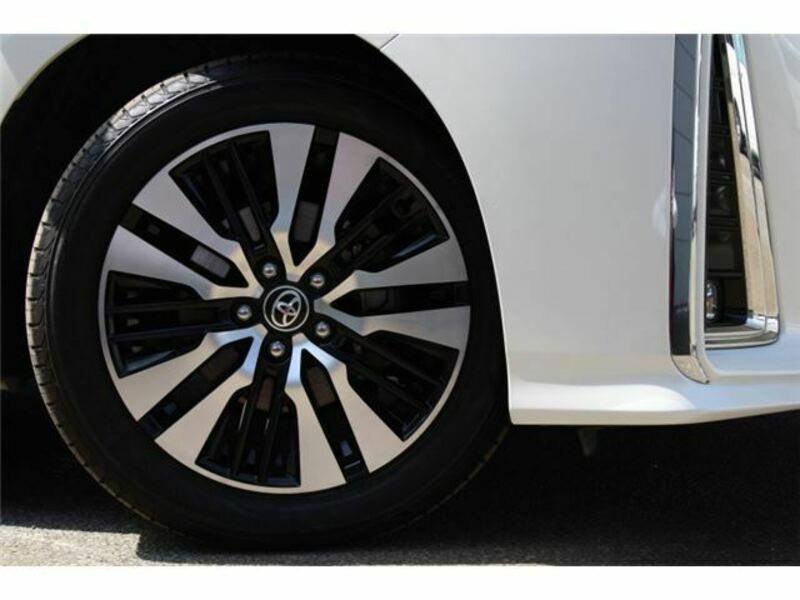 ALPHARD-16