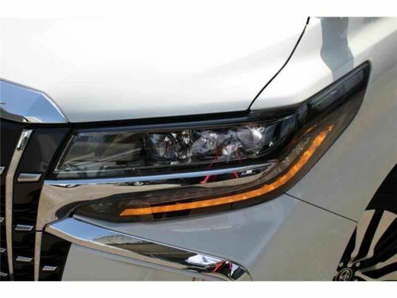 ALPHARD-19