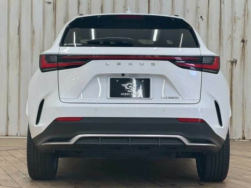 NX
