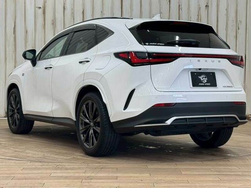 NX