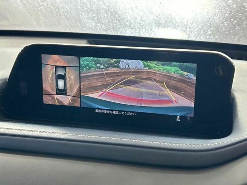 CX-30