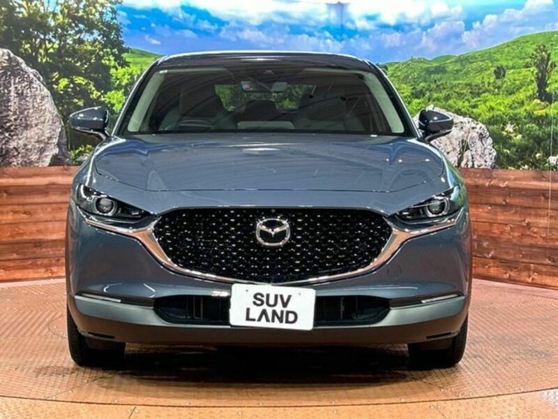 CX-30