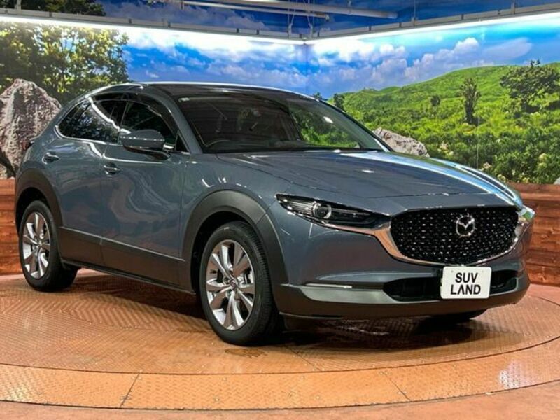 CX-30