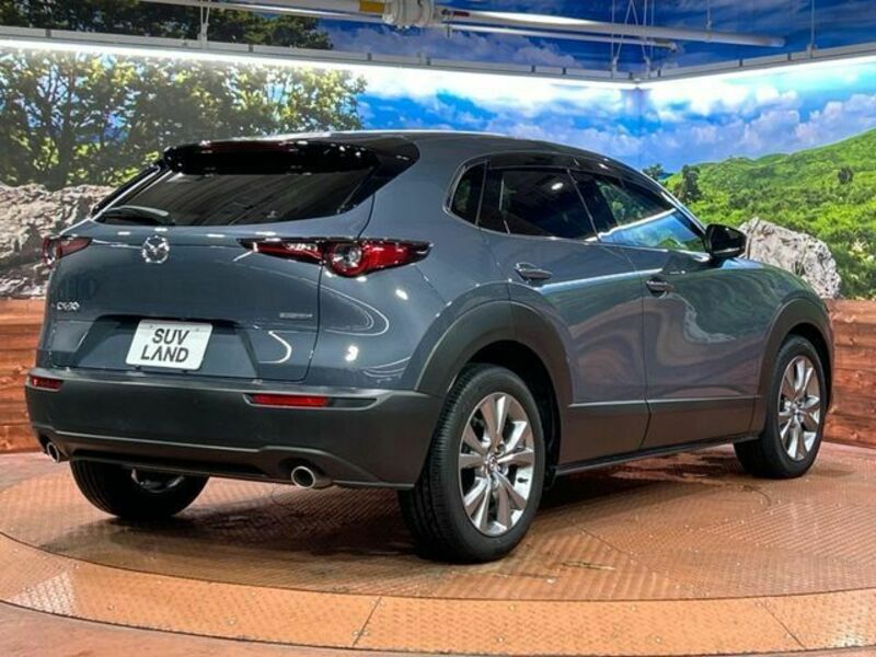 CX-30
