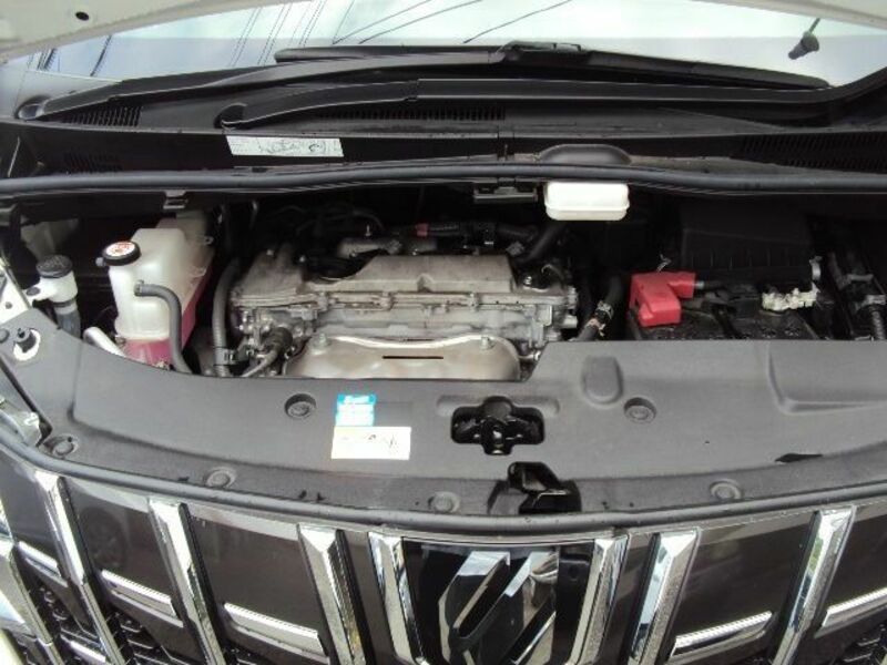 ALPHARD-9