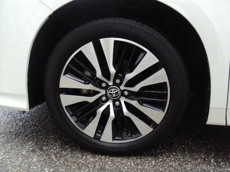 ALPHARD-10