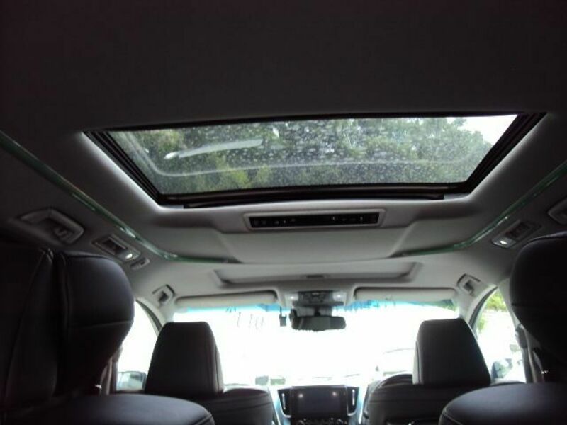 ALPHARD-12