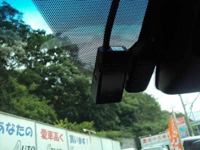 ALPHARD-19