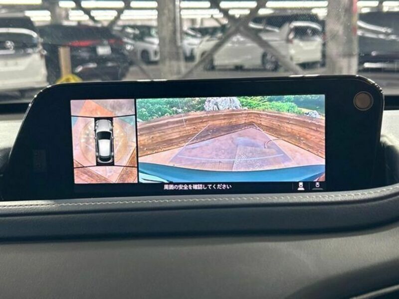 CX-30