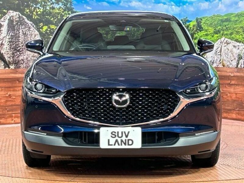 CX-30