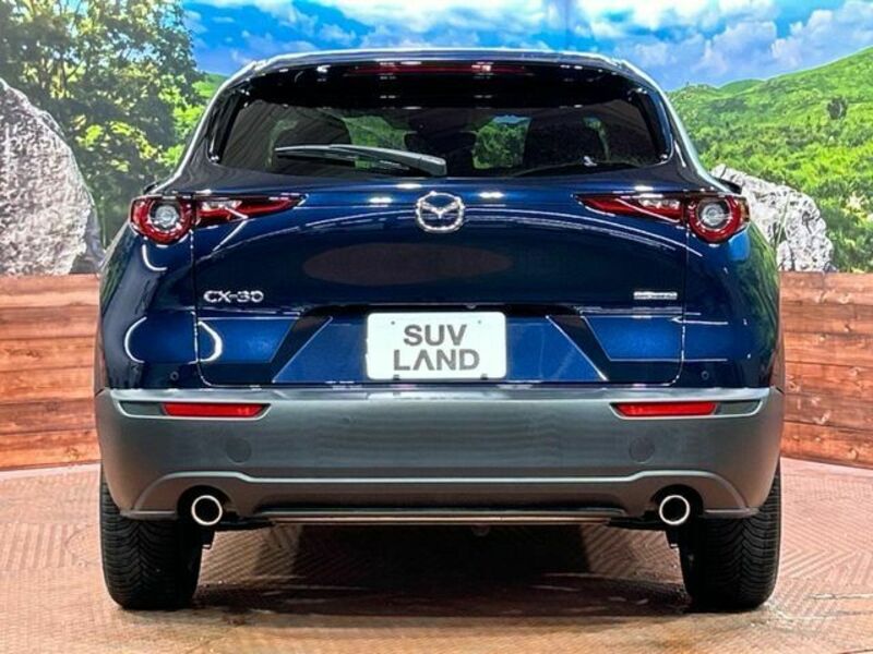 CX-30