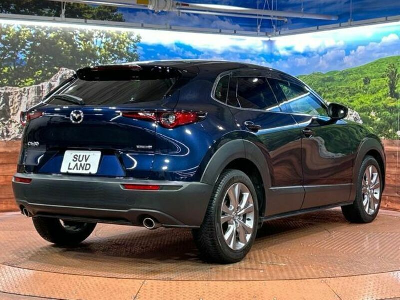 CX-30