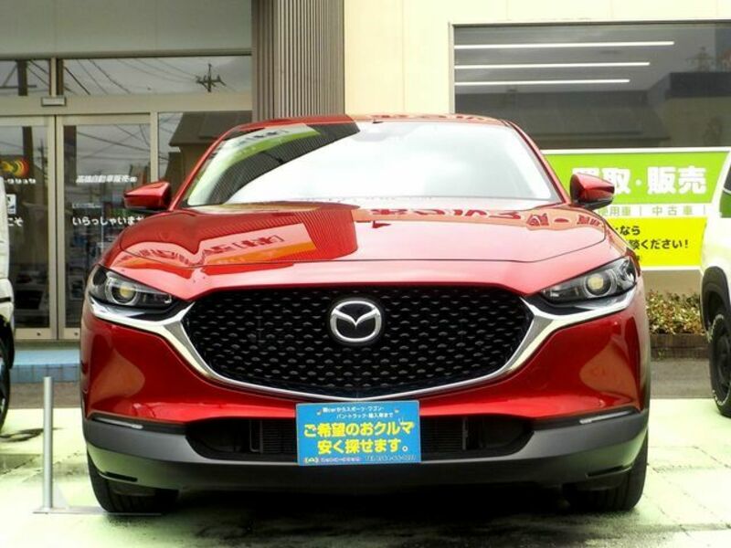 CX-30