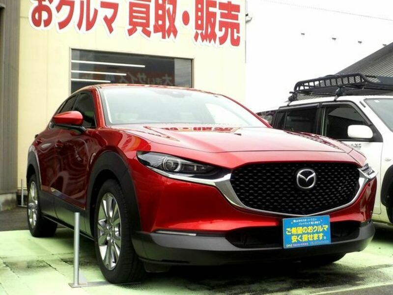 CX-30