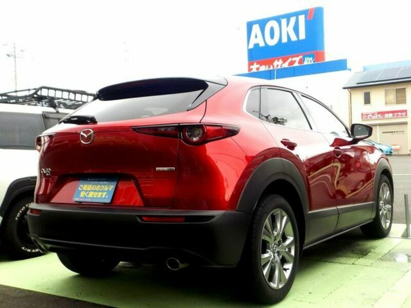 CX-30