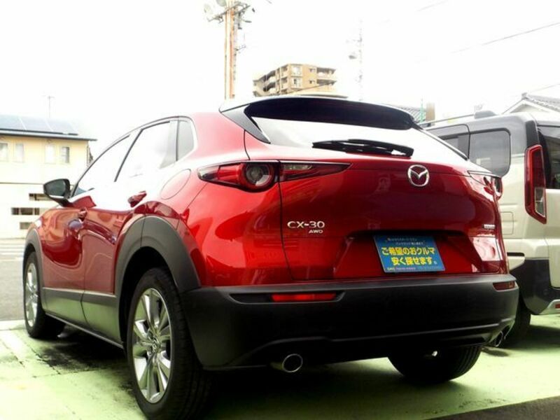 CX-30