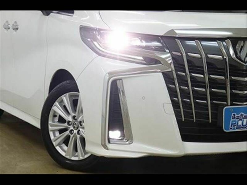 ALPHARD-22