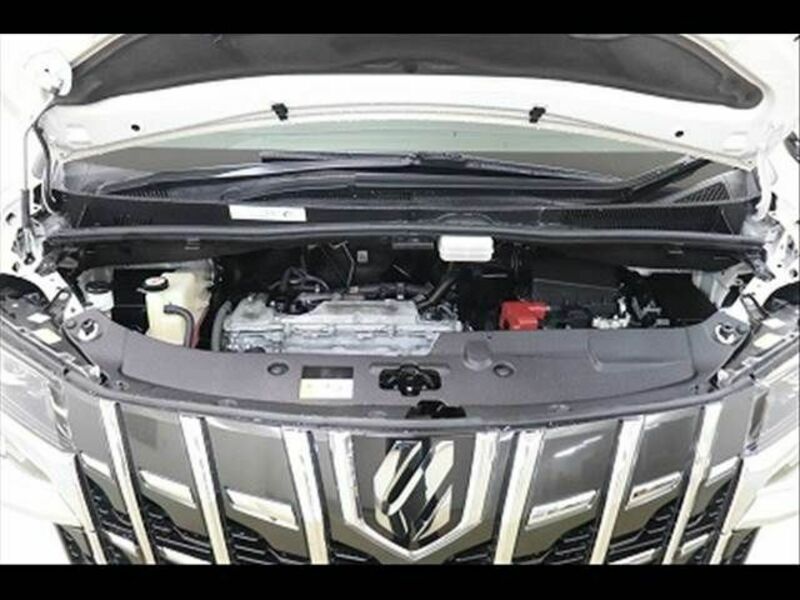 ALPHARD-24