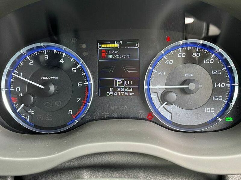 LEVORG