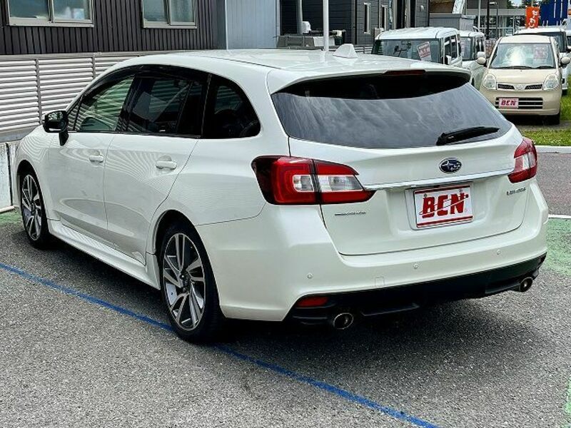 LEVORG