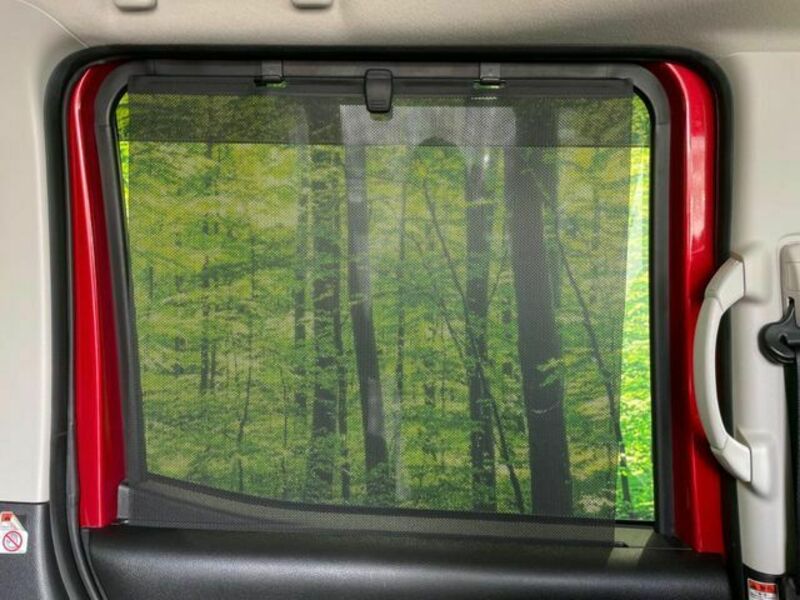DAYZ ROOX