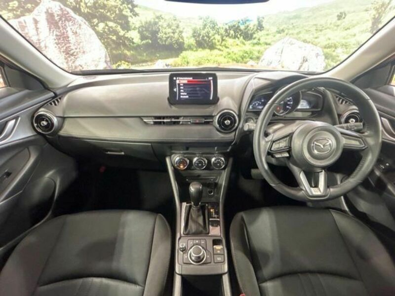 CX-3-1
