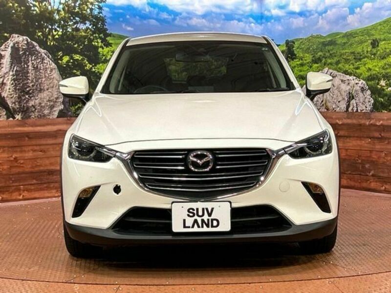 CX-3-13