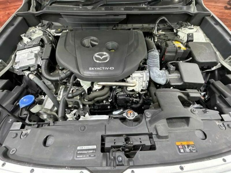 CX-3-17