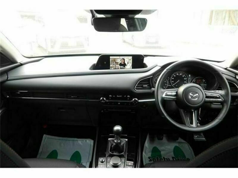 CX-30
