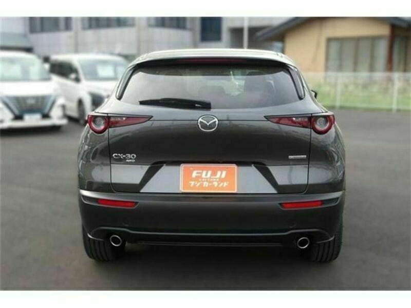 CX-30