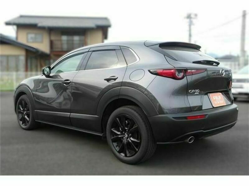 CX-30