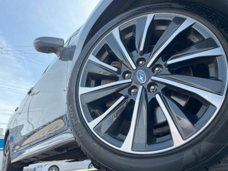 LEVORG