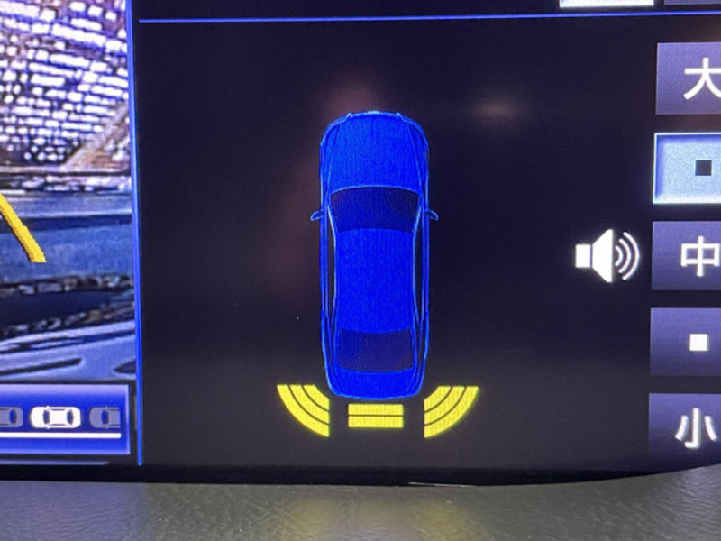 LS