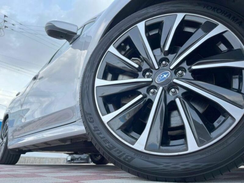 LEVORG
