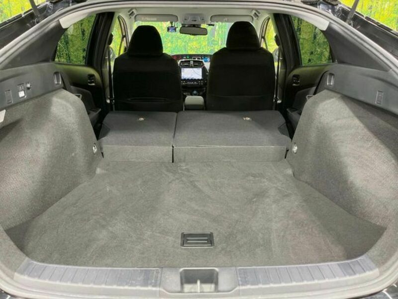 PRIUS-9
