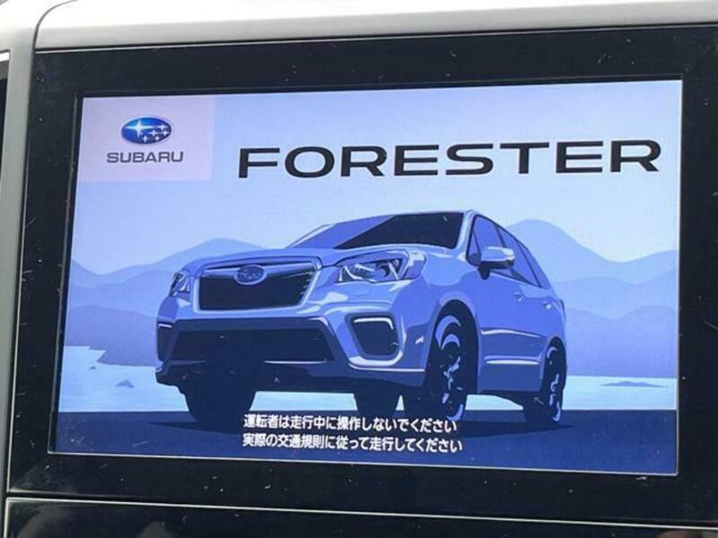 FORESTER