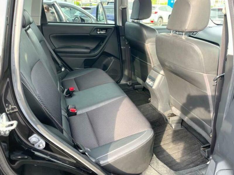 FORESTER-8