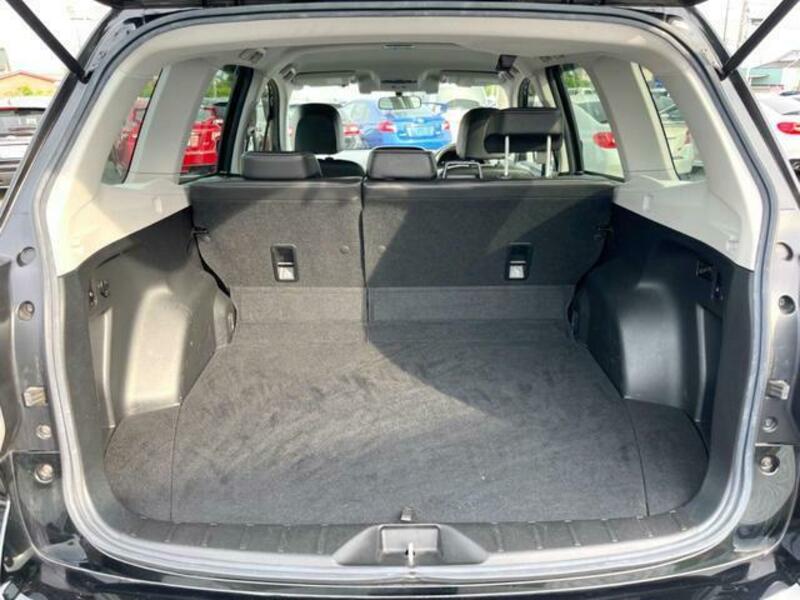 FORESTER-9