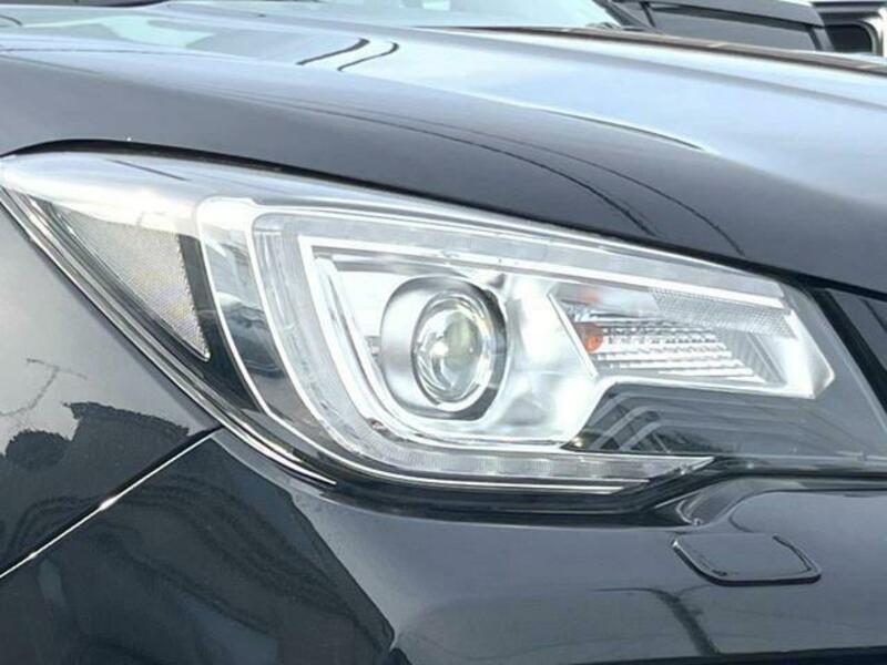 FORESTER-11