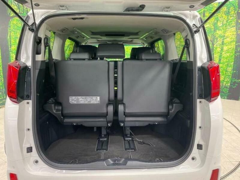 ALPHARD-10